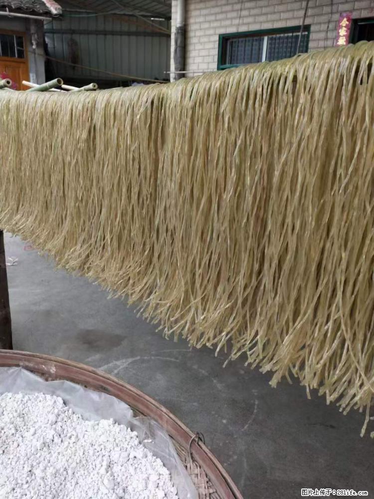 【灌阳正宗红薯粉】美女家里自己做的,干净卫生,假一赔十,价格合理,抢购电话:13737312895 - 美食天地 - 青岛生活社区 - 青岛28生活网 qd.28life.com