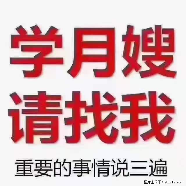 为什么要学习月嫂,育婴师? - 新手上路 - 青岛生活社区 - 青岛28生活网 qd.28life.com