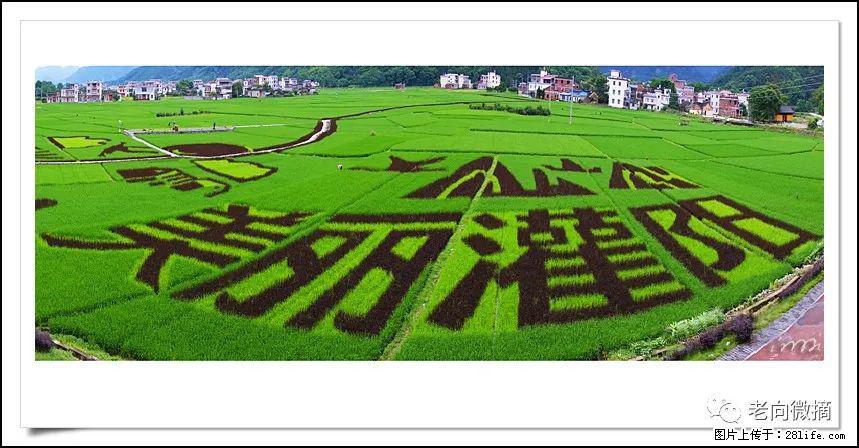 【春天,广西桂林灌阳县向您发出邀请!】开篇 - 游山玩水 - 青岛生活社区 - 青岛28生活网 qd.28life.com