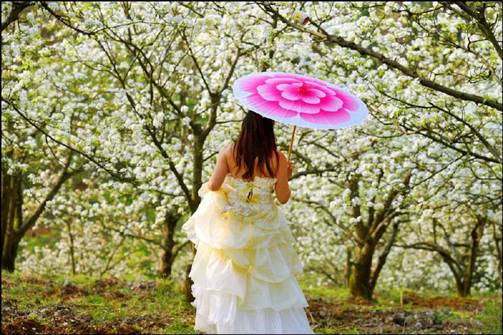 【春天,广西桂林灌阳县向您发出邀请!】我们在灌阳看梨花 - 游山玩水 - 青岛生活社区 - 青岛28生活网 qd.28life.com