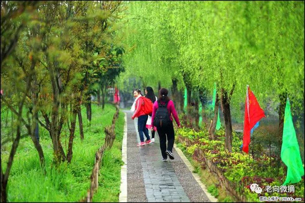 【春天,广西桂林灌阳县向您发出邀请!】江口老街又逢春 - 游山玩水 - 青岛生活社区 - 青岛28生活网 qd.28life.com