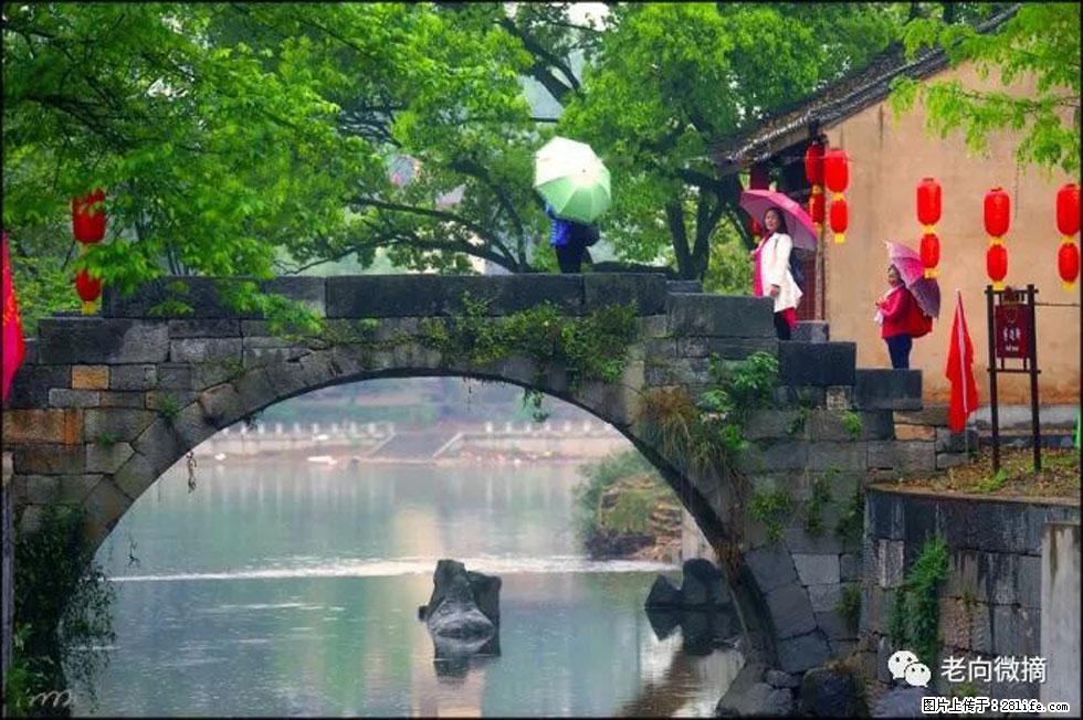 【春天,广西桂林灌阳县向您发出邀请!】江口老街又逢春 - 游山玩水 - 青岛生活社区 - 青岛28生活网 qd.28life.com