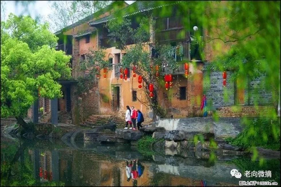 【春天,广西桂林灌阳县向您发出邀请!】江口老街又逢春 - 游山玩水 - 青岛生活社区 - 青岛28生活网 qd.28life.com