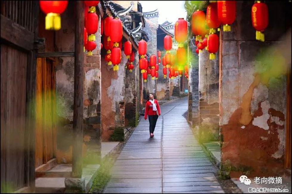 【春天,广西桂林灌阳县向您发出邀请!】江口老街又逢春 - 游山玩水 - 青岛生活社区 - 青岛28生活网 qd.28life.com