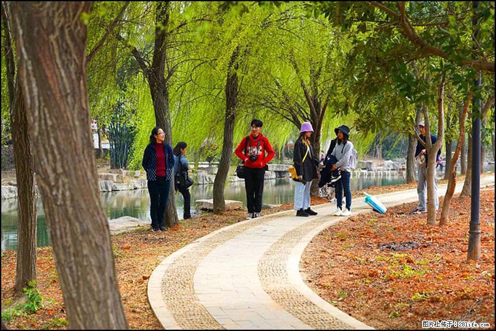 【春天,广西桂林灌阳县向您发出邀请!】江口老街又逢春 - 游山玩水 - 青岛生活社区 - 青岛28生活网 qd.28life.com