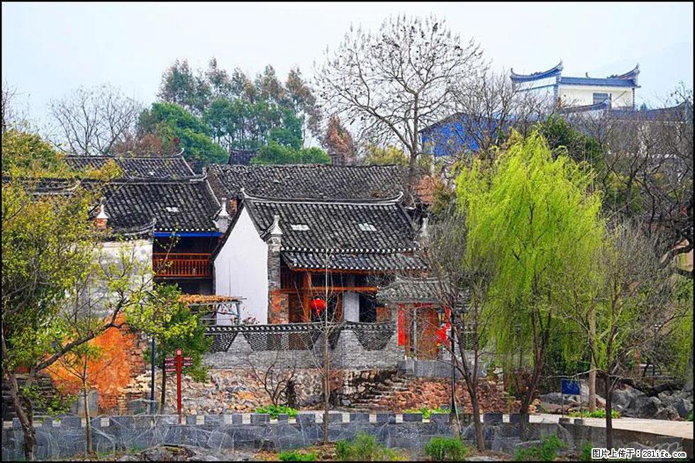 【春天,广西桂林灌阳县向您发出邀请!】江口老街又逢春 - 游山玩水 - 青岛生活社区 - 青岛28生活网 qd.28life.com