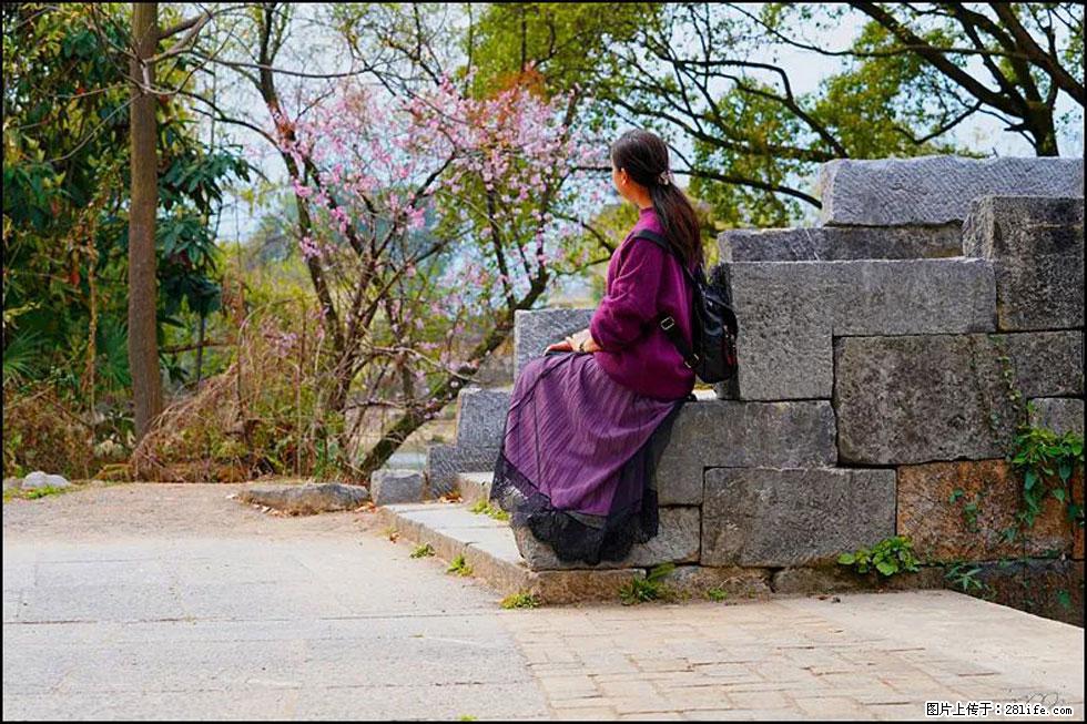 【春天,广西桂林灌阳县向您发出邀请!】江口老街又逢春 - 游山玩水 - 青岛生活社区 - 青岛28生活网 qd.28life.com