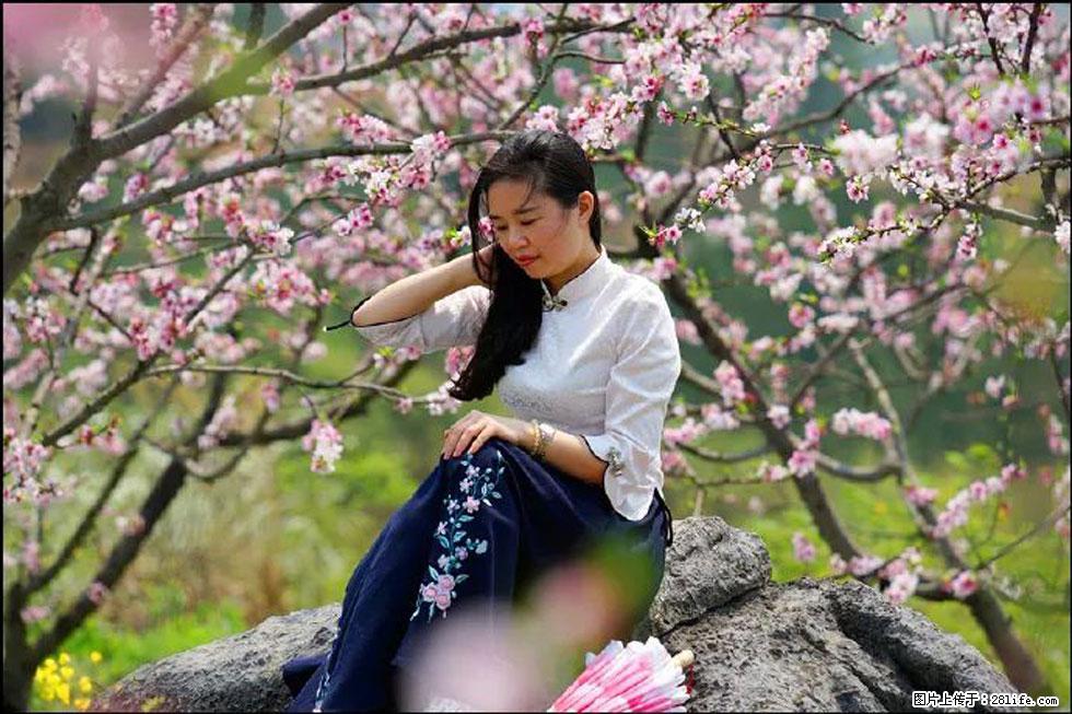 【春天，广西桂林灌阳县向您发出邀请！】望月岭上桃花开 - 游山玩水 - 青岛生活社区 - 青岛28生活网 qd.28life.com