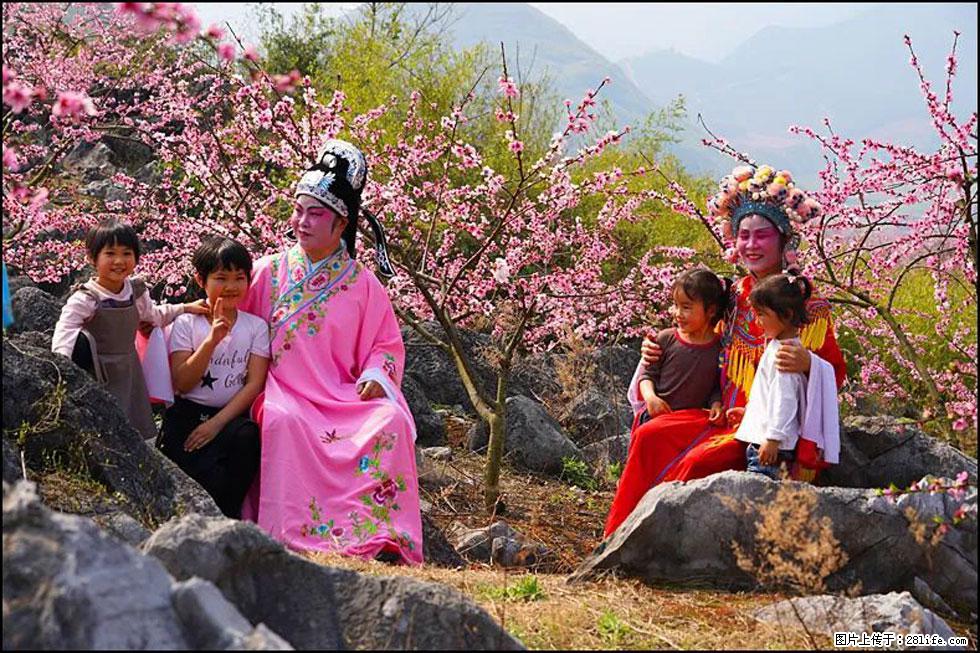 【春天，广西桂林灌阳县向您发出邀请！】望月岭上桃花开 - 游山玩水 - 青岛生活社区 - 青岛28生活网 qd.28life.com
