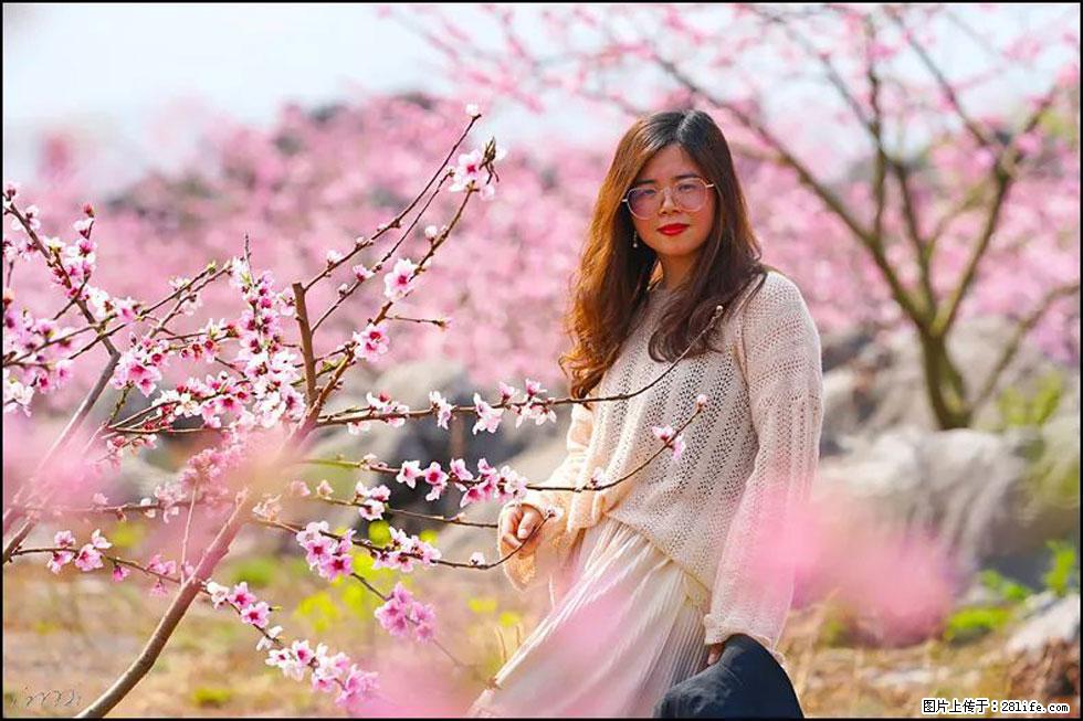 【春天，广西桂林灌阳县向您发出邀请！】望月岭上桃花开 - 游山玩水 - 青岛生活社区 - 青岛28生活网 qd.28life.com