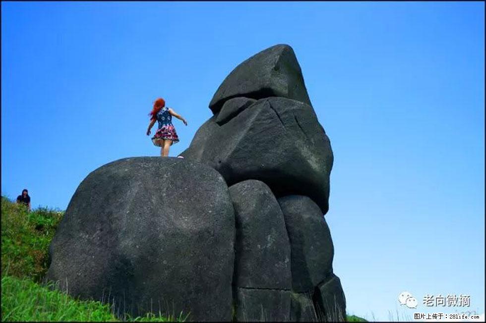 【春天,广西桂林灌阳县向您发出邀请!】宝盖山上映山红 - 游山玩水 - 青岛生活社区 - 青岛28生活网 qd.28life.com