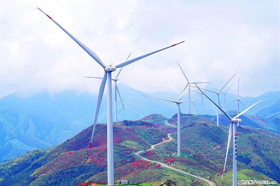 【春天,广西桂林灌阳县向您发出邀请!】春木界上映山红 - 游山玩水 - 青岛生活社区 - 青岛28生活网 qd.28life.com