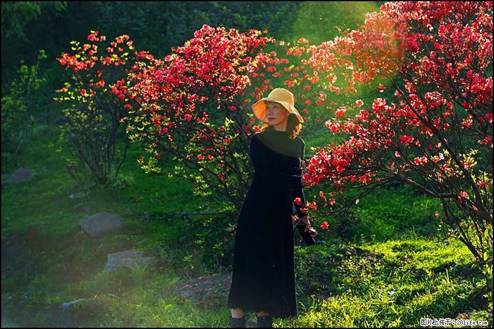 【春天,广西桂林灌阳县向您发出邀请!】春木界上映山红 - 游山玩水 - 青岛生活社区 - 青岛28生活网 qd.28life.com