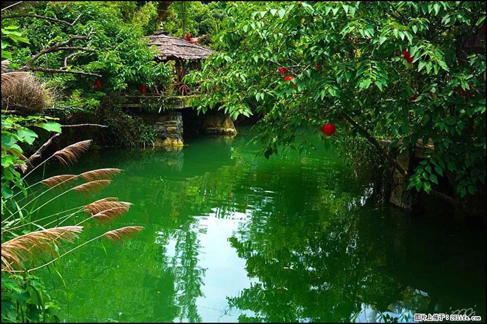 【春天,广西桂林灌阳县向您发出邀请!】如梦似幻莲溪庐 - 游山玩水 - 青岛生活社区 - 青岛28生活网 qd.28life.com