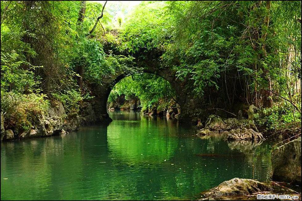 【春天,广西桂林灌阳县向您发出邀请!】如梦似幻莲溪庐 - 游山玩水 - 青岛生活社区 - 青岛28生活网 qd.28life.com