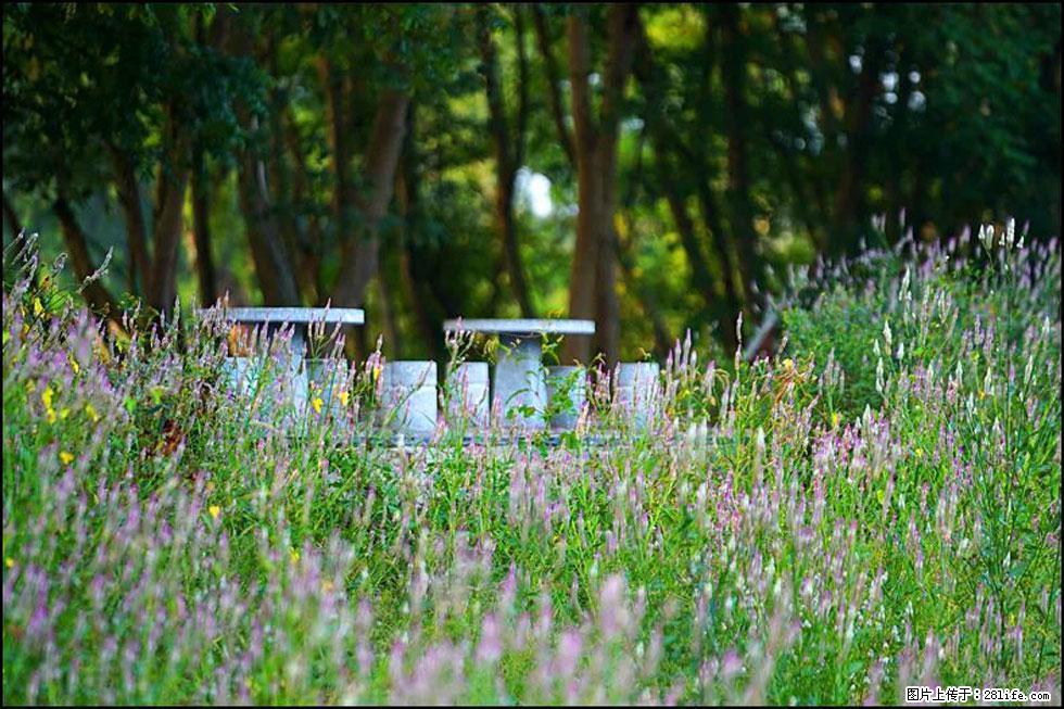 【春天,广西桂林灌阳县向您发出邀请!】熊家寨湿地公园 - 游山玩水 - 青岛生活社区 - 青岛28生活网 qd.28life.com