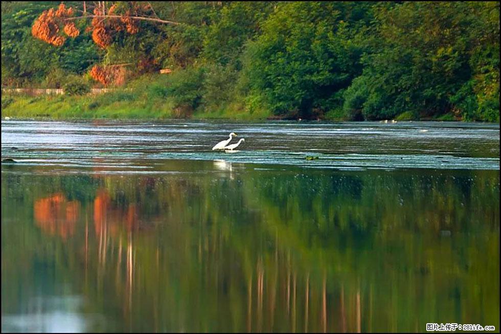 【春天,广西桂林灌阳县向您发出邀请!】熊家寨湿地公园 - 游山玩水 - 青岛生活社区 - 青岛28生活网 qd.28life.com