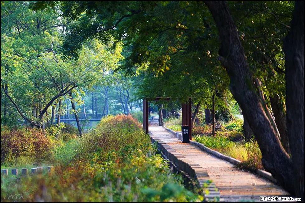 【春天,广西桂林灌阳县向您发出邀请!】熊家寨湿地公园 - 游山玩水 - 青岛生活社区 - 青岛28生活网 qd.28life.com