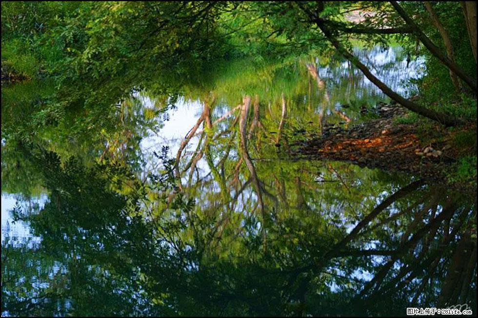 【春天,广西桂林灌阳县向您发出邀请!】熊家寨湿地公园 - 游山玩水 - 青岛生活社区 - 青岛28生活网 qd.28life.com