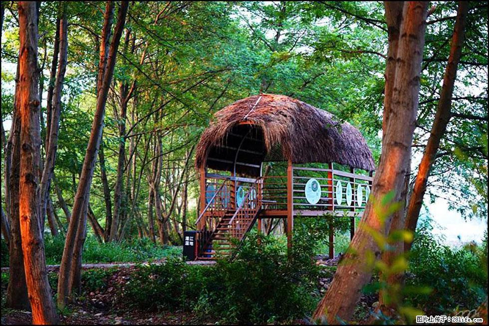 【春天,广西桂林灌阳县向您发出邀请!】熊家寨湿地公园 - 游山玩水 - 青岛生活社区 - 青岛28生活网 qd.28life.com