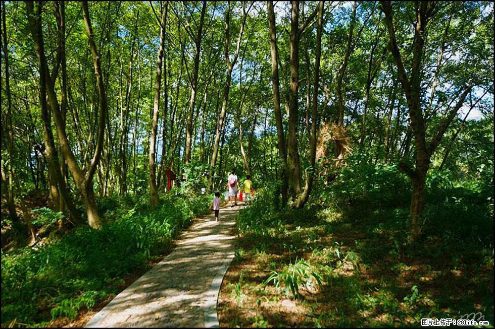 【春天,广西桂林灌阳县向您发出邀请!】熊家寨湿地公园 - 游山玩水 - 青岛生活社区 - 青岛28生活网 qd.28life.com