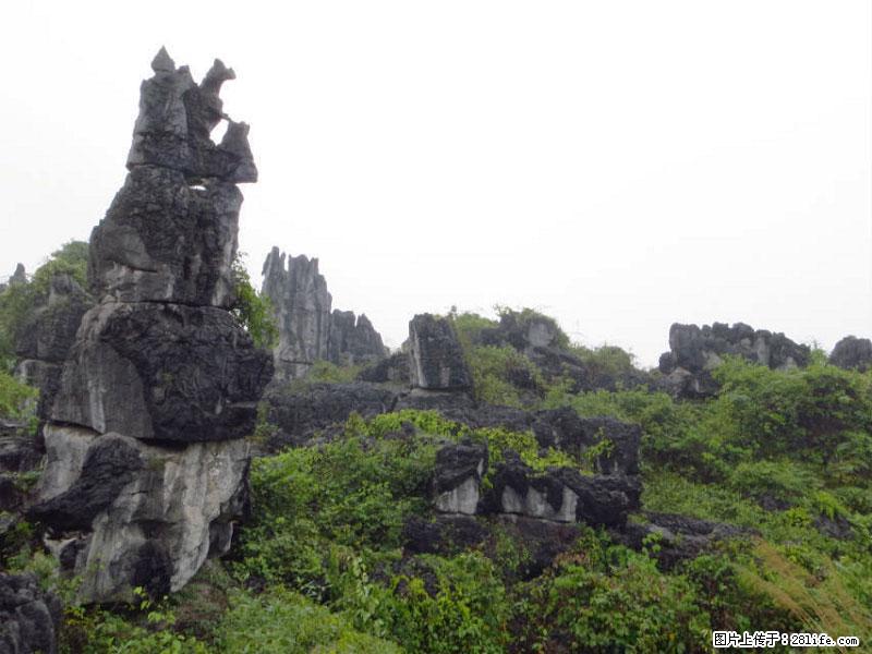 桂林旅游名城景点：灌阳文市石林 - 游山玩水 - 青岛生活社区 - 青岛28生活网 qd.28life.com