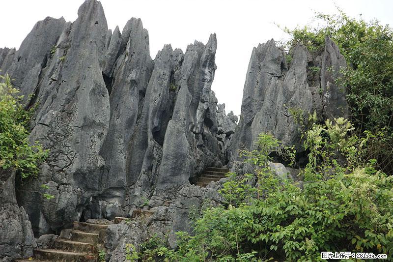 桂林旅游名城景点：灌阳文市石林 - 游山玩水 - 青岛生活社区 - 青岛28生活网 qd.28life.com