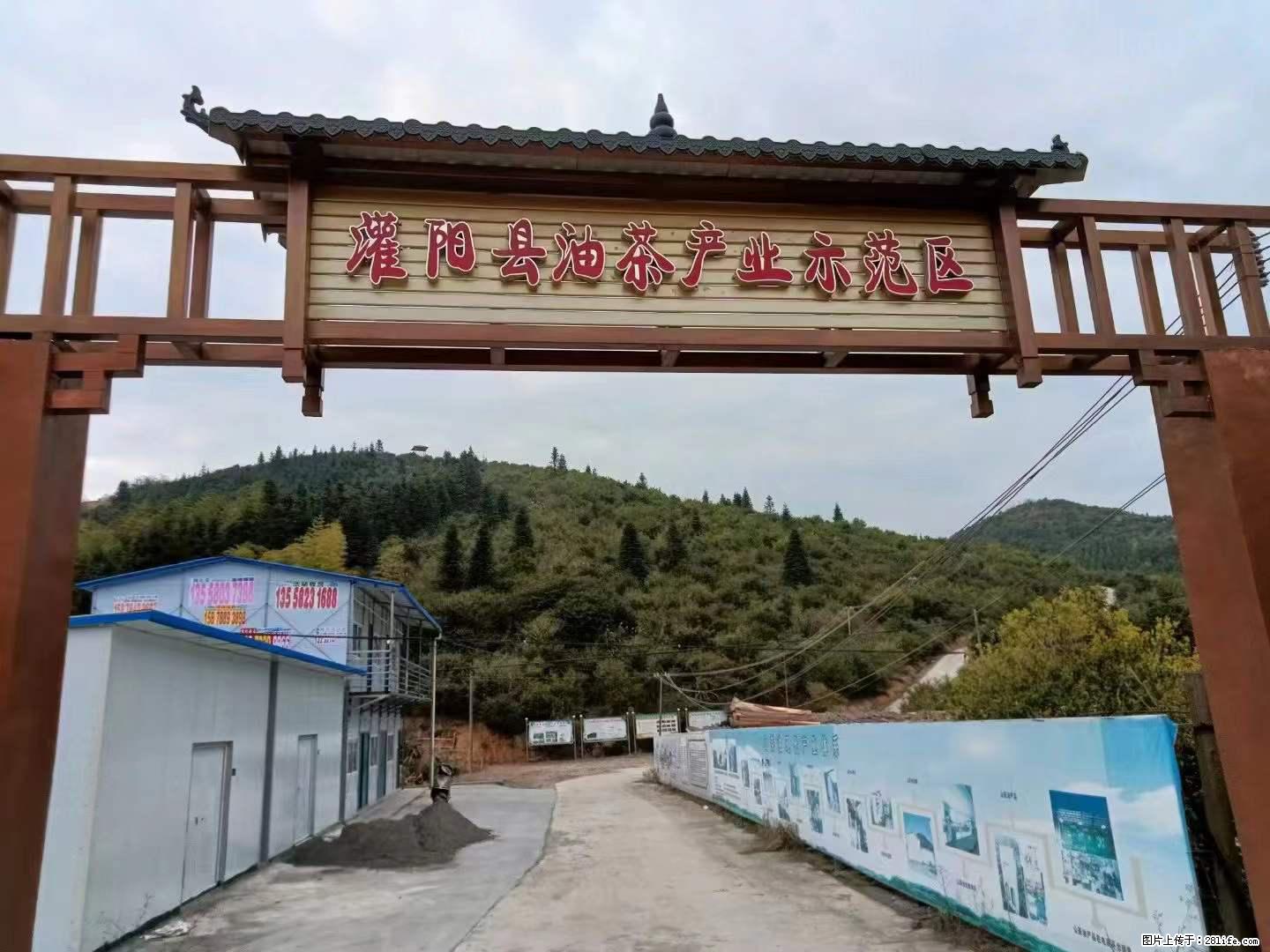 【灌阳县油茶产业示范区】一个有着充实的精神生活的人,对待身外之物自会有一种淡泊的态度 - 土特产 - 饮食特产 - 青岛分类信息 - 青岛28生活网 qd.28life.com