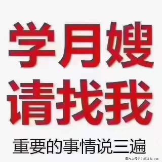 为什么要学习月嫂，育婴师？ - 青岛28生活网 qd.28life.com
