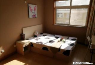 (单间出租)浮山后精品单间！可月付免物业暖气 动漫产业园、齐鲁医院 - 青岛28生活网 qd.28life.com