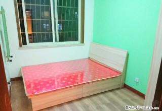 (单间出租)杨家群 青年公寓 拎包入住 免费的WIFI保洁 包物业供暖费 - 青岛28生活网 qd.28life.com