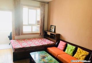 无中介费+随时看房+精装公寓+温馨 ！ 嘿 欢迎回家！！！ - 青岛28生活网 qd.28life.com