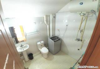 (单间出租)樱花苑，近妇幼医院，租金可月付，无中介费，拎包入住，精装全配 - 青岛28生活网 qd.28life.com