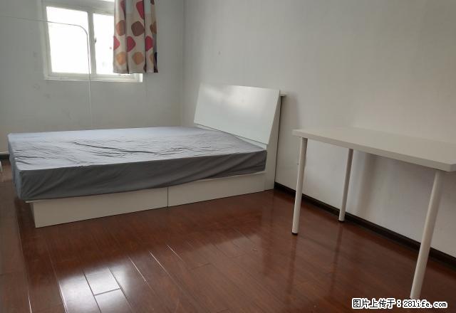 (单间出租)市北敦化路妇女儿童医院附近,精装,无中介费,月付 - 房屋出租 - 房屋租售 - 青岛分类信息 - 青岛28生活网 qd.28life.com