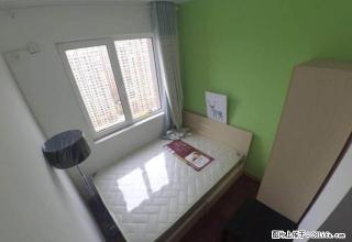 (单间出租)出租单间 保利茉莉公馆 环境好 可上网 做饭 空调齐全 月付 - 青岛28生活网 qd.28life.com