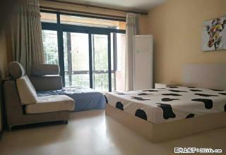 (单间出租)特价900元 靠近台东步行街 普济医院 价格真实 无中介费 - 青岛28生活网 qd.28life.com