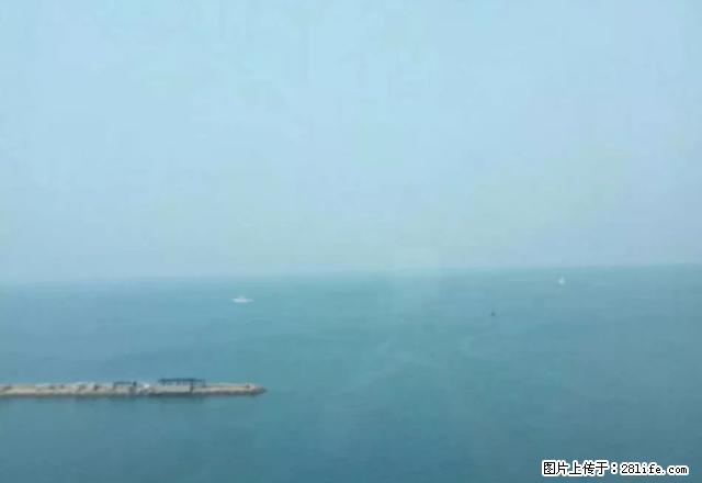 金色海岸 套三双厅双卫 精装 双气 全套家具家电 - 房屋出租 - 房屋租售 - 青岛分类信息 - 青岛28生活网 qd.28life.com