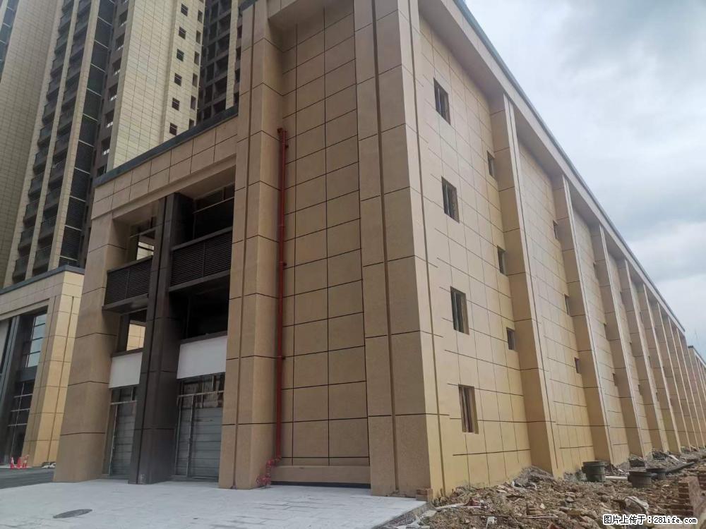 【广西三象建筑安装工程有限公司】外墙涂料工程 - 新手上路 - 青岛生活社区 - 青岛28生活网 qd.28life.com