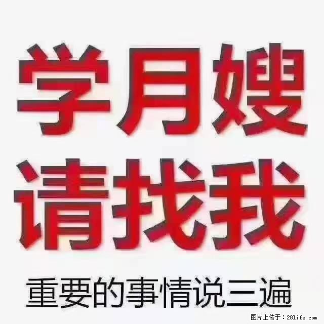 【招聘】月嫂，上海徐汇区 - 职场交流 - 青岛生活社区 - 青岛28生活网 qd.28life.com