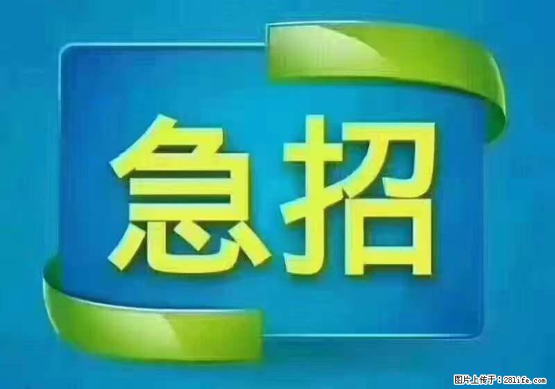 招财务，有会计证的，熟手会计1.1万底薪，上海五险一金，包住，包工作餐，做六休一 - 人事/行政/管理 - 招聘求职 - 青岛分类信息 - 青岛28生活网 qd.28life.com