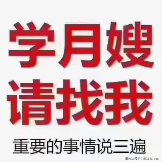 【招聘】月嫂，上海徐汇区 - 青岛28生活网 qd.28life.com
