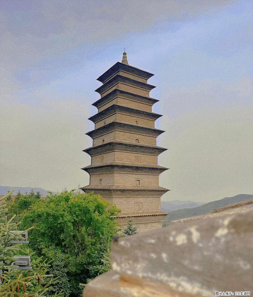 朔州【崇福寺】朔州老城,寺庙道观,少喧嚣,多古韵,朔州是山西被低估的塞上秘境。 - 游山玩水 - 青岛生活社区 - 青岛28生活网 qd.28life.com