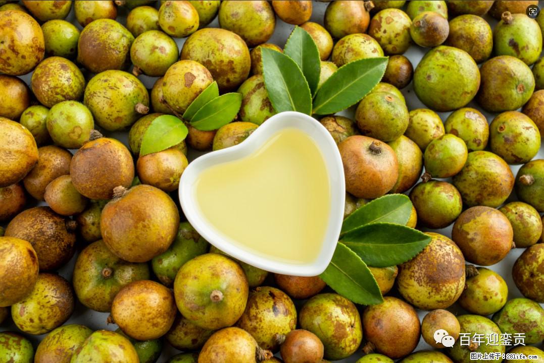 世界没有真相,只有认知,最好的食用油是中国的山茶油! - 青岛生活资讯 - 青岛28生活网 qd.28life.com