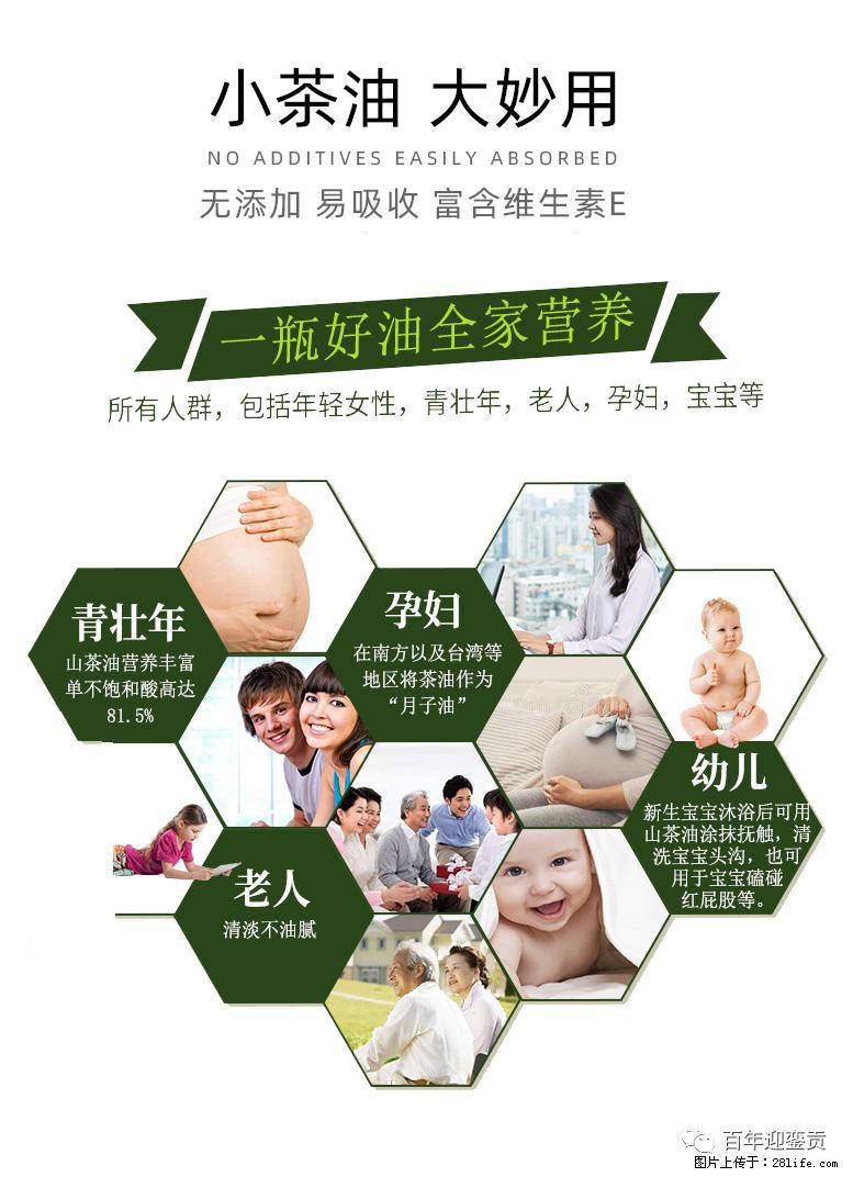 世界没有真相,只有认知,最好的食用油是中国的山茶油! - 青岛生活资讯 - 青岛28生活网 qd.28life.com