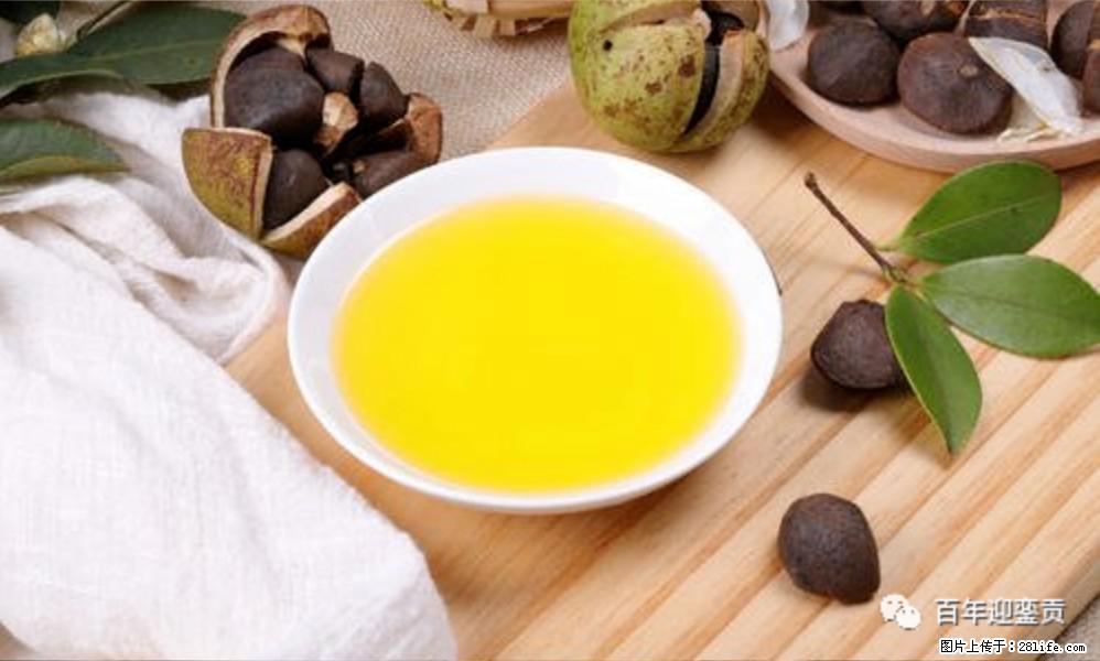 世界没有真相,只有认知,最好的食用油是中国的山茶油! - 青岛生活资讯 - 青岛28生活网 qd.28life.com