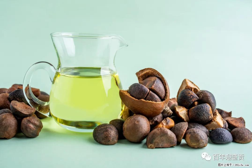 世界没有真相,只有认知,最好的食用油是中国的山茶油! - 青岛生活资讯 - 青岛28生活网 qd.28life.com