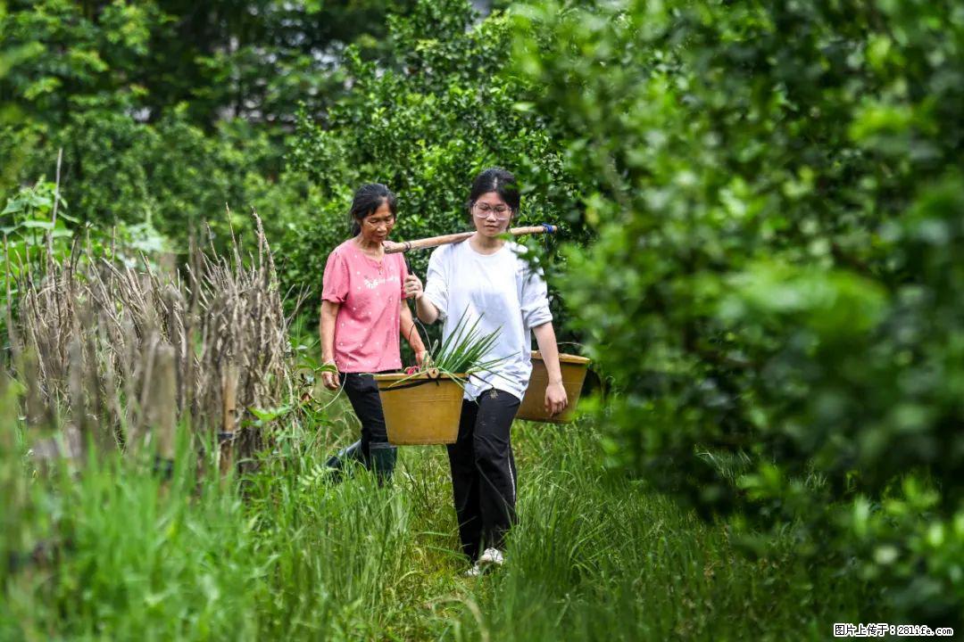 全网追的“扁担女孩”，找了一份暑假工，时薪12元 - 青岛生活资讯 - 青岛28生活网 qd.28life.com