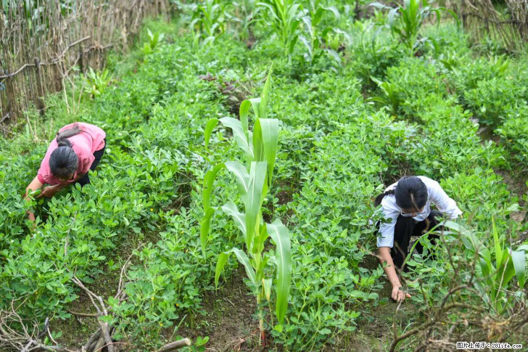 全网追的“扁担女孩”，找了一份暑假工，时薪12元 - 青岛生活资讯 - 青岛28生活网 qd.28life.com
