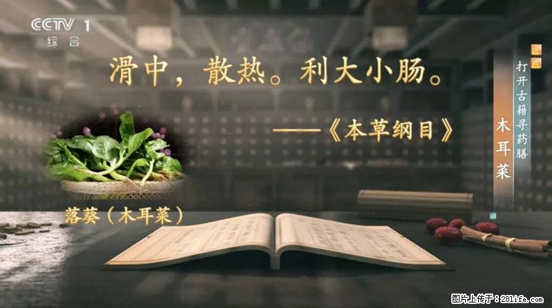 比牛奶补钙还厉害！凉血解毒、稳血糖...这菜冬天必吃，很多人却当草 - 青岛生活资讯 - 青岛28生活网 qd.28life.com