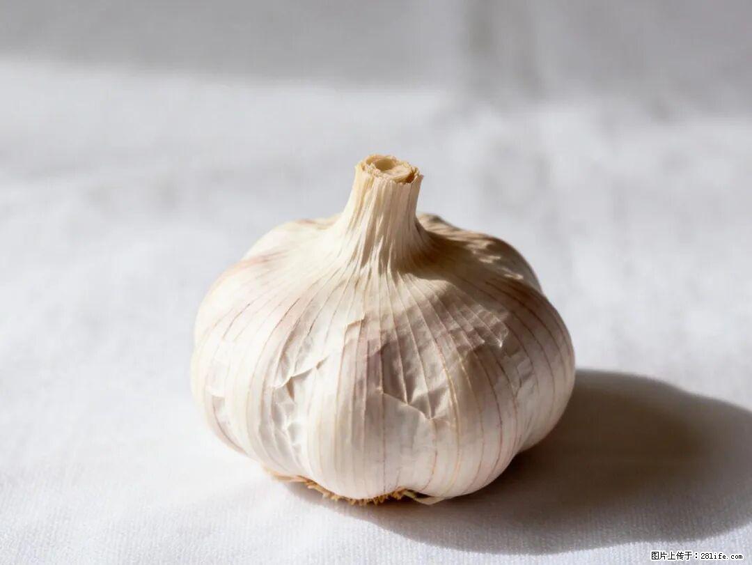关于大蒜，除了“天然抗生素”，这4个谣言更该警惕! - 青岛生活资讯 - 青岛28生活网 qd.28life.com